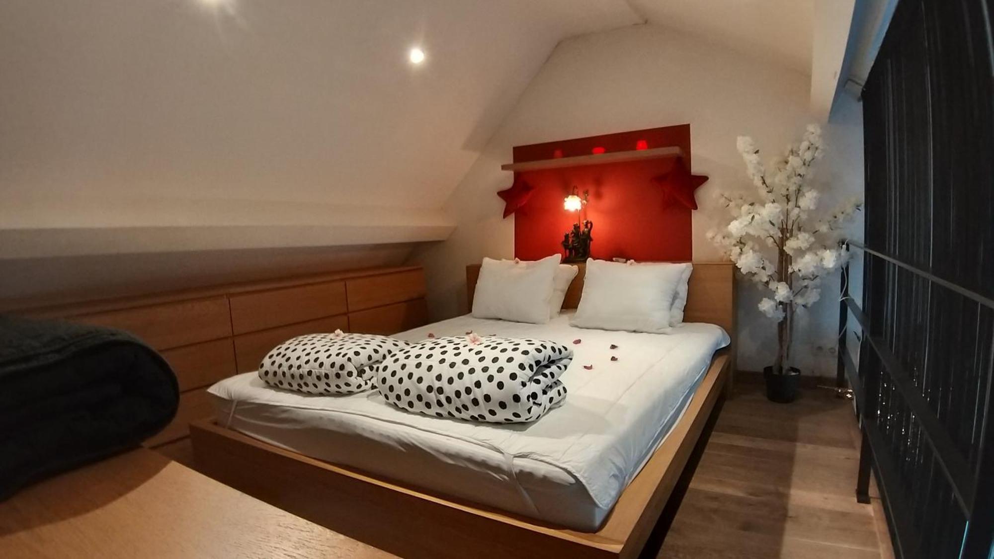 アントウェルペンWellness Loft With Sauna, Jacuzzi, Roof Terrace & Amazing Viewアパートメント エクステリア 写真