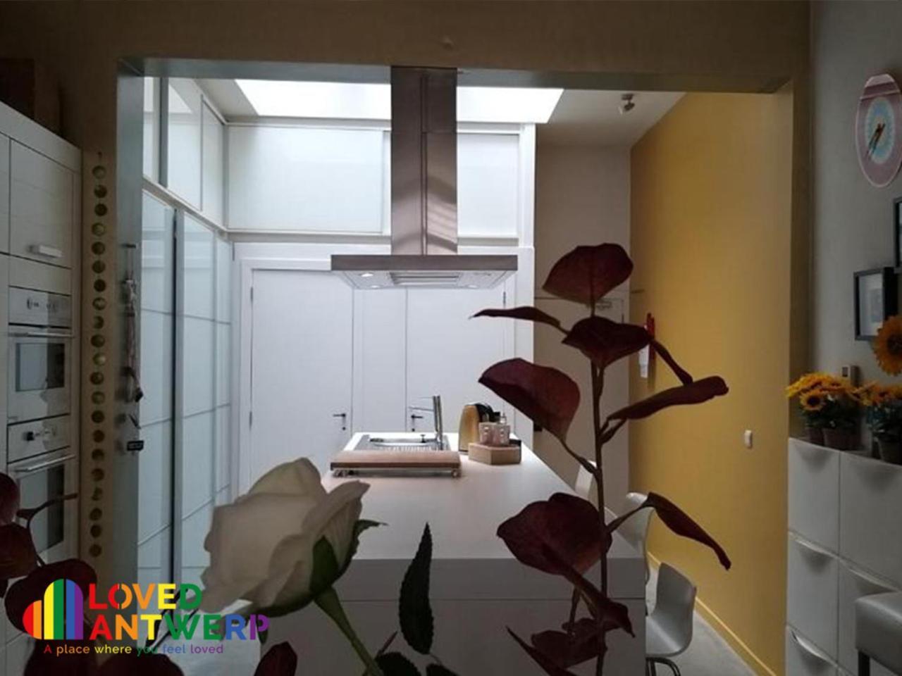 アントウェルペンWellness Loft With Sauna, Jacuzzi, Roof Terrace & Amazing Viewアパートメント エクステリア 写真